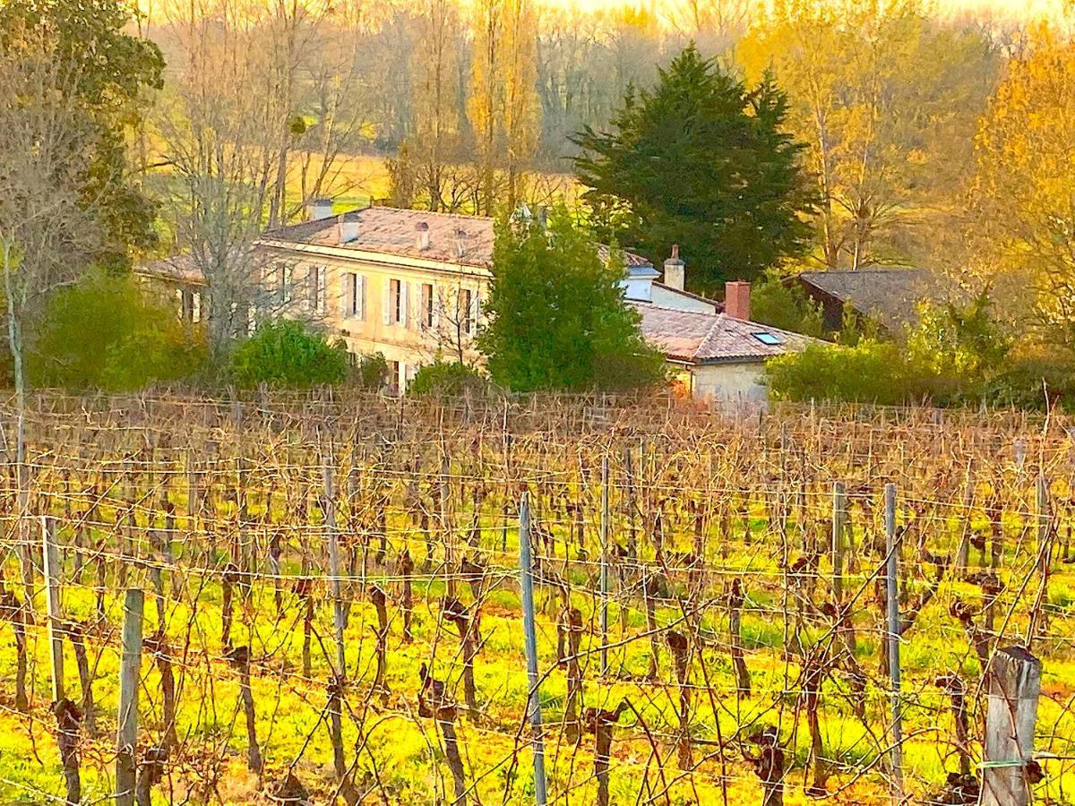 Fabuleux - Domaine Du Moulin D'Andraut Bordeaux-Chevaux-Golf-St Emilion Villa Montussan Exterior foto