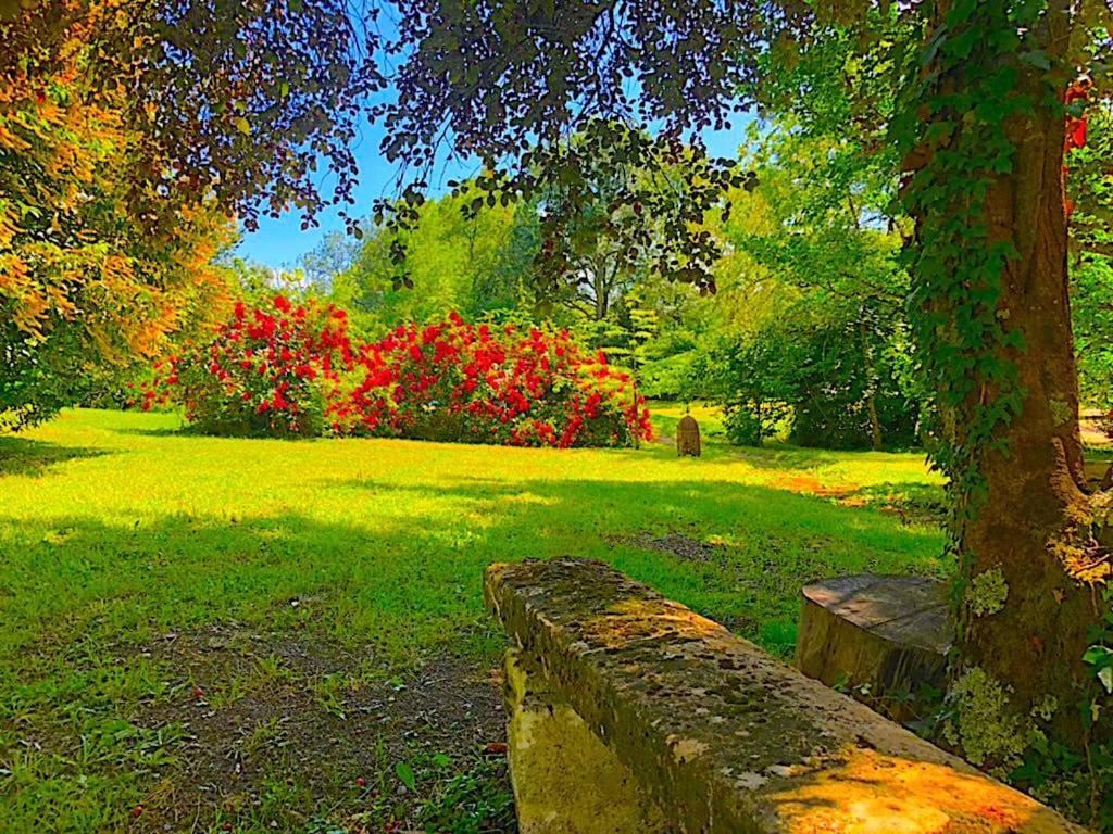 Fabuleux - Domaine Du Moulin D'Andraut Bordeaux-Chevaux-Golf-St Emilion Villa Montussan Exterior foto