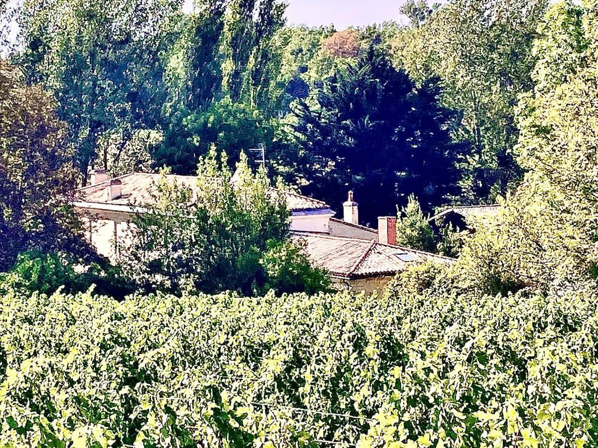 Fabuleux - Domaine Du Moulin D'Andraut Bordeaux-Chevaux-Golf-St Emilion Villa Montussan Exterior foto