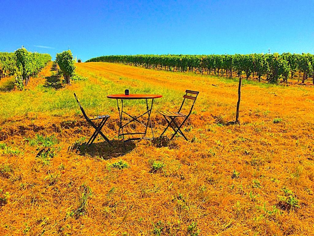 Fabuleux - Domaine Du Moulin D'Andraut Bordeaux-Chevaux-Golf-St Emilion Villa Montussan Exterior foto